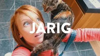 My kitten is schattiger dan yours. - LINDE VLOGT #44