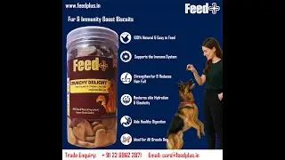 feed dog food ethical preservative free and tailored for indian pets