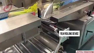 vegetable packing machine