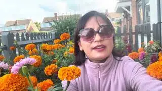 My Own Flower Garden \ Vegetables (2025) In UK