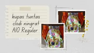 Review Clodi Ningrat AIO Reguler | clodi pant premium