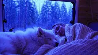 Thunder and Rain Sounds to Relax the Mind and Support Deep Sleep