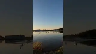 Вид с земли #охота #охота на птиц #охота на гусей #охота на водоплавающую дичь #водоплавающие пти...