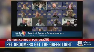 Florida coronavirus: Pinellas County dog groomers among business that can re-open on Monday