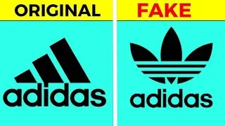 Why Adidas Use 2 Different Logos? | CR Facts | #facts |