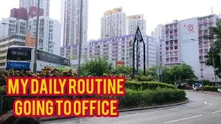 My Daily Routine 