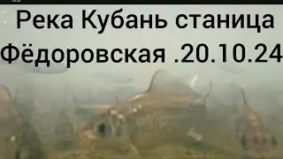 Рыбалка на Кубани станица Фёдоровская. Осторожно работает рыбоохрана. 20.10.24.
