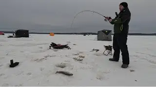 Ice fishing in Canada. Hake fishing.