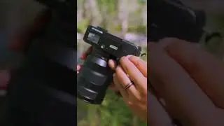 Sony Alpha 7c +24-105mm F4 G Camara