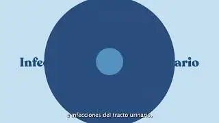 Opciones para recibir atención médica