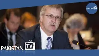 Parties must lodge complaints before results: EU chief observer