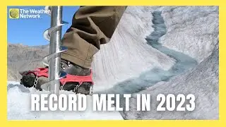 Alberta Glacier’s Rate of Melt This Past Year Stuns Researchers