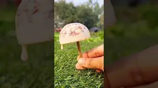 chocolate ice-cream #shorts #youtubeshorts #shortvideo