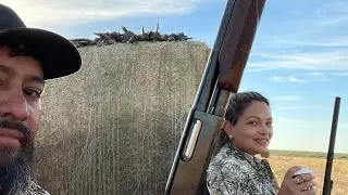 South Texas Dove Hunting and Boneless Jalape&ntilde;o Bacon Dove Wraps (Catch,clean,cook) #dovehunting