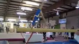 Samantha Hollywood Invite