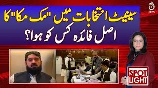 Senate Deal: Who Truly Benefited the Most? - Pakistan news