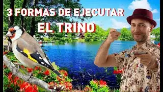 Clases de armónica - 3 Formas diferentes de hacer el trino con la armónica