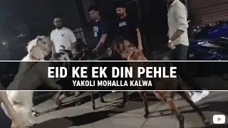 Eid ke ek din pehle takoli mohalla me bakra ka bazar #takoli #kalwa #aashovlogs #maqba