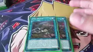 True King Dino Deck profile April 2017