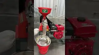 The latest upgrade of the rice roller has greatly increased the output.#ricemill #machinery #farmer