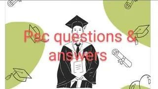 psc question by expertise#quiz#expertise #startup#gk#gk#pscquiz#psclearning #youtubevideos
