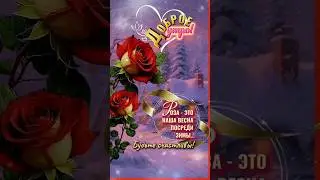 🌲⛄💖 ДОБРОЕ УТРО#РОЗА - ЭТО ВЕСНА ПОСРЕДИ ЗИМЫ#ОТКРЫТКА#RESPECT #SHORTS 🌲🌹⛄