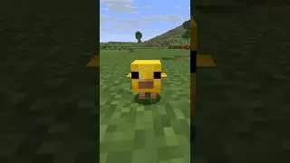 Minecraft&rsquo;s Cutest Update is FINALLY Here! 🐥✨ #minecraft