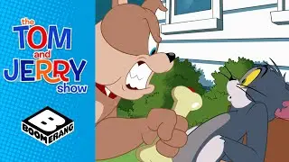 Spike's Suspicious Bone | Tom & Jerry | @BoomerangUK