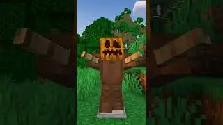 Best Minecraft troll Ever!! Minecraft funny