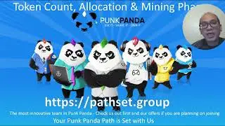 22 01 E1 Punk Panda Token