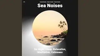 Harmonious Ambient Soundscapes