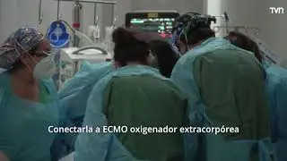 ¿Cómo funciona ECMO en pacientes que lo requieren?