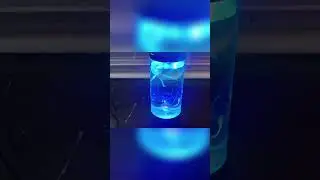 How to Remove Air Bubbles from Jellyfish Aquariums