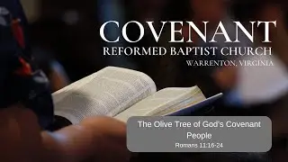 The Olive Tree of God&rsquo;s Covenant People