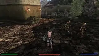 GRIP - Stance Swap (OpenMW 0.49+)