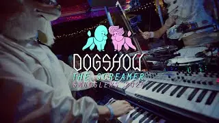 DOGSHOW - The Screamer (Live at Smugglers Festival 2024)