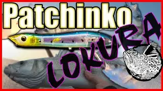 Pesca Spinning de LUBINAS con Xorus Patchinko 100 [Recopilación]