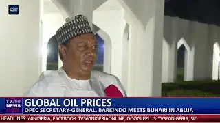 OPEC&rsquo;s Secretary-General updates Pres. Buhari on organization&rsquo;s achievements