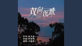 双向沉默