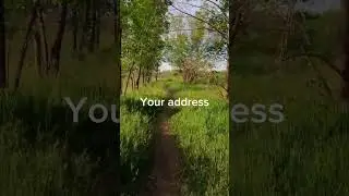 #internetsafety