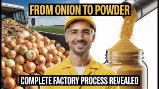 Inside the Largest US Factory From Raw Onions to Premium Powder