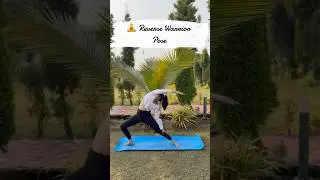 🔥This Yoga Pose Instantly Boosts Flexibility | Reverse Warrior #shorts #shortsfeed #youtubeshorts