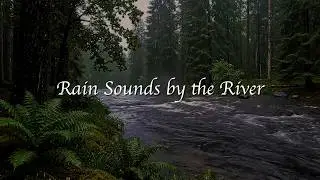 Soothing Rain and Flowing River Sounds &mdash; Natural Ambience for Deep Sleep