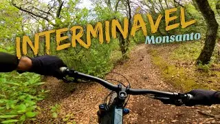 Interminável - MTB trails Monsanto Portugal