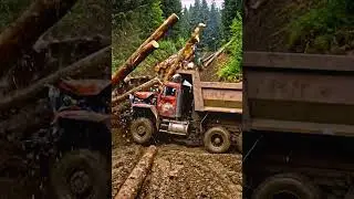 Dump Truck Loses Steering and Hits Logging Truck #DumpTruck #LoggingTruck #Crash