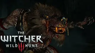 The Witcher 3 Next Gen - Werewolf Niellen Boss Fight (4K)
