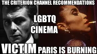 Criterion Channel Recommendations - 1 LGBTQ MOVIE & DOCUMENTARY REVIEW - VICTIM & PARIS IS BURNING