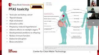 CCWT - PFAS Testing Facility at the NYS CCWT: Challenges in Detection and Water Treatment