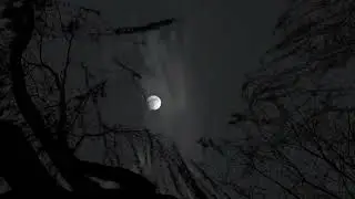 Calm music for sleep. We replenish the body's energy during sleep.