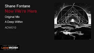 Shane Fontane - Now We're Here (Original Mix)